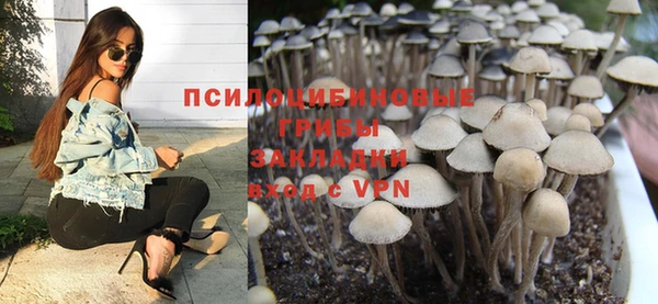 mdpv Няндома