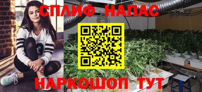 сатива Абинск