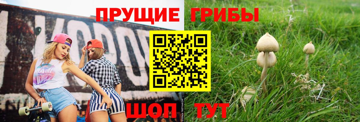 Галлюциногенные грибы GOLDEN TEACHER Азнакаево