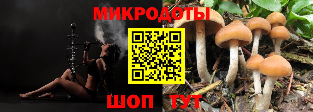 Псилоцибиновые грибы ЛСД  Галлюциногенные грибы Magic Shrooms  Азнакаево 