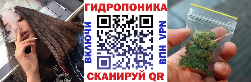 Конопля семена  Азнакаево 
